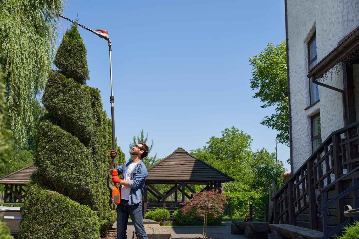 Best Tree Trimming Near Me  in Reynolds Heights, PA